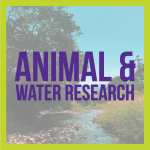 Animal and water research